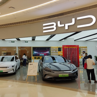BYD profit falls despite record sales and global EV lead
